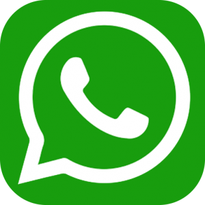Whatsapp icon